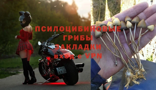 не бодяженный Верея